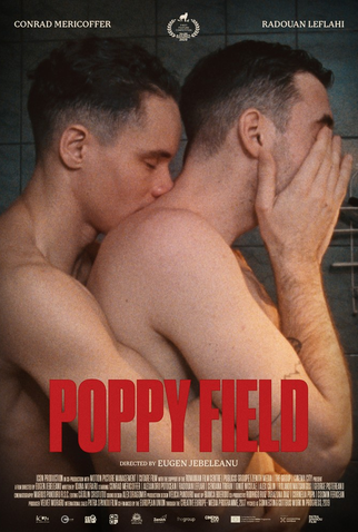 Poster 1 de Filme Campo de Papoulas (2020)