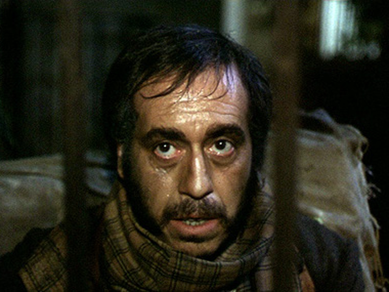 Foto 9 de El bosque del lobo