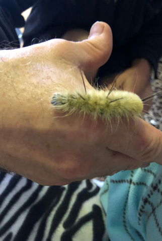 Poster 2 de Filme Say Goodbye (1970)