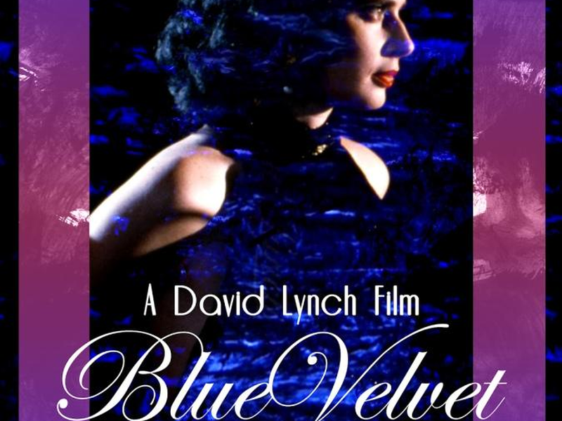 Foto 30 de Veludo Azul