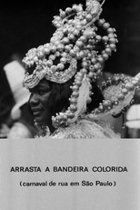 Arrasta a Bandeira Colorida (Arrasta a Bandeira Colorida)