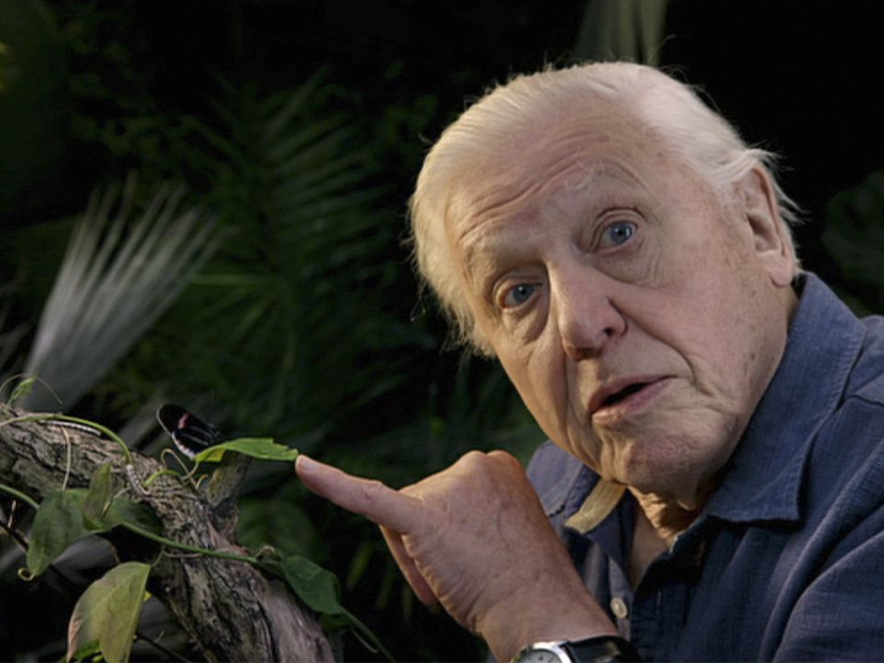 Foto 1 de O Micromundo dos Artrópodes