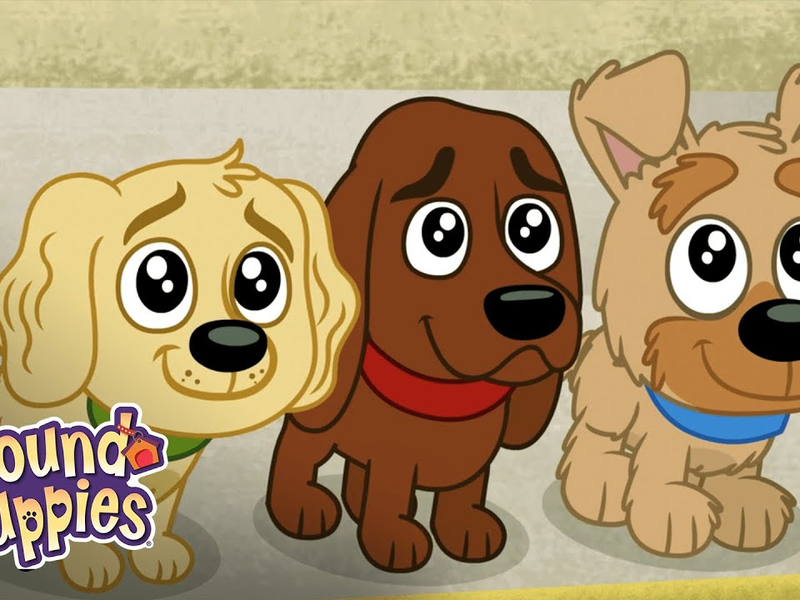 Foto 5 de Cãezinhos do Canil