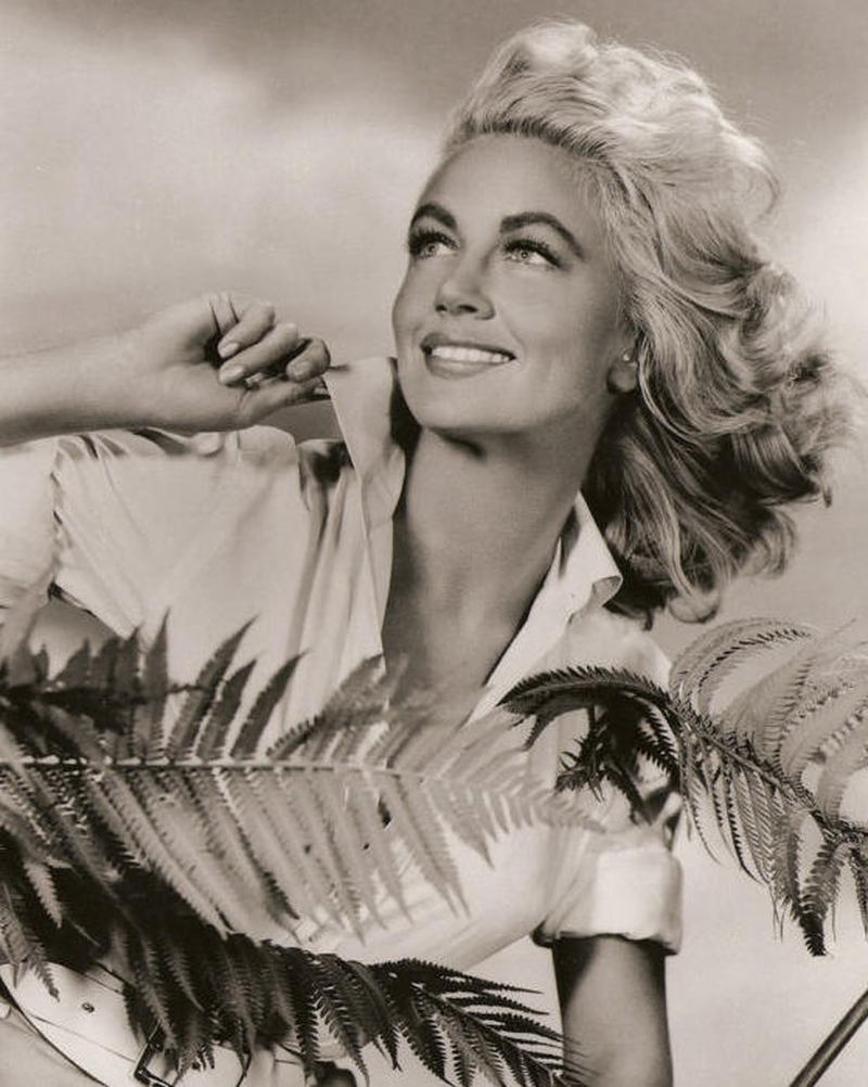 Dorothy Malone - Foto 1