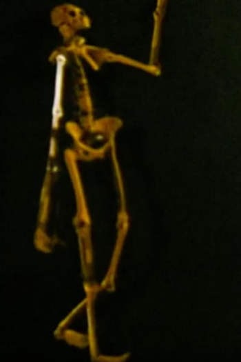 Poster de Curta Spiral (1987)