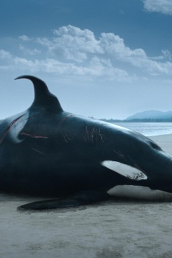 Poster de Episódio Folge 1 (2023)