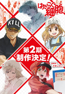 Hataraku Saibou (2ª Temporada) (Hataraku Saibou (Season 2))