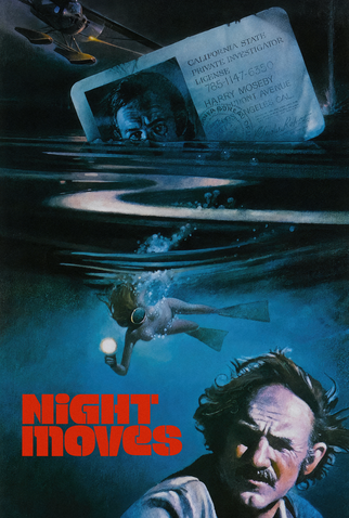 Poster 11 de Filme Um Lance no Escuro (1975)