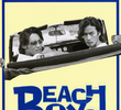 Beach Boys Special