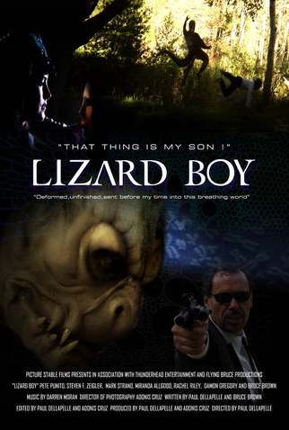 Poster 1 de Filme Lizard Boy (2011)