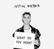 Justin Bieber: What Do You Mean
