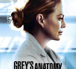 A Anatomia de Grey (17ª Temporada)