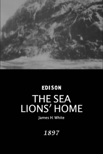 The Sea Lions’ Home - Poster / Capa / Cartaz - Oficial 1