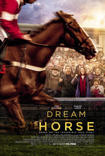 O Cavalo dos Meus Sonhos - Poster / Capa / Cartaz - Oficial 2