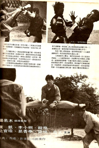 Poster 2 de Filme Bruce Lee, Invencível Mestre (1975)