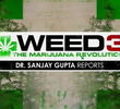 Weed 3: The Marijuana Revolution