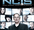 NCIS: Investigações Criminais (10ª Temporada)