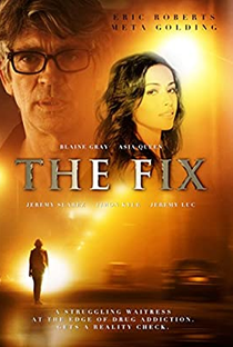 The Fix - Poster / Capa / Cartaz - Oficial 1