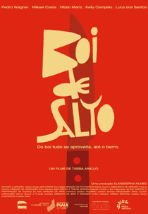 Boi de Salto (Boi de Salto)