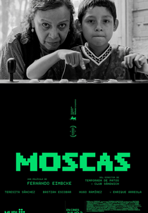 Moscas (Moscas)