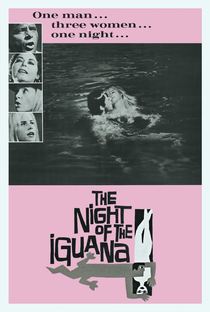 A Noite do Iguana - Poster / Capa / Cartaz - Oficial 5