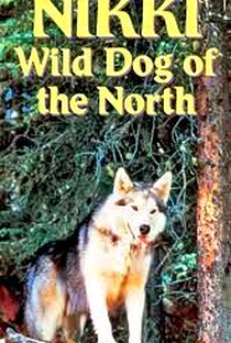 Nikki - O Cão Selvagem do Norte - Poster / Capa / Cartaz - Oficial 5