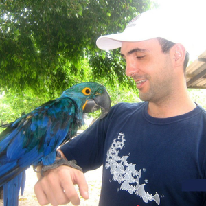 Foto de perfil de ricardo ferreira