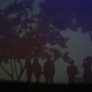 Foto de perfil de Silvia