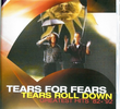 Tears For Fears - Tears Roll Down (Greatest Hits 82-92)