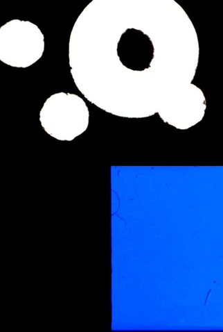 Poster 1 de Curta Short Circuit (2005)