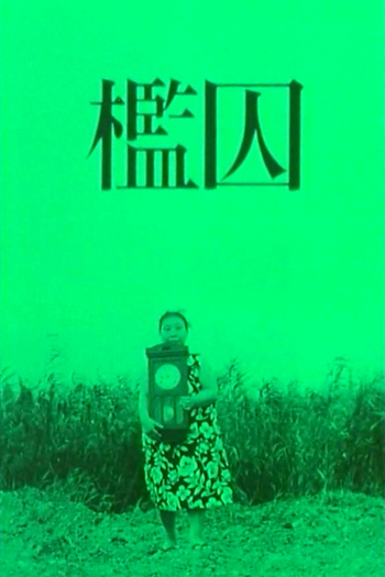 Poster de Curta A Jaula (1964)