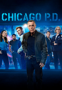 Chicago P.D.: Distrito 21 (13ª Temporada) (Chicago P.D. (Season 13))