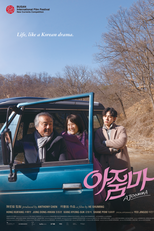 Ajoomma: Uma Viagem Inesquecível (아줌마)