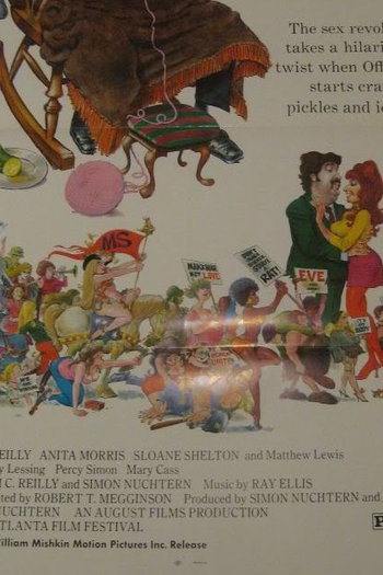 Poster de Filme A Ampla Coligação  (1972)