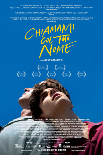  de Filme Me Chame Pelo Seu Nome (2017)