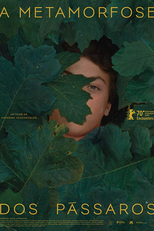 A Metamorfose dos Pássaros (A Metamorfose dos Pássaros)