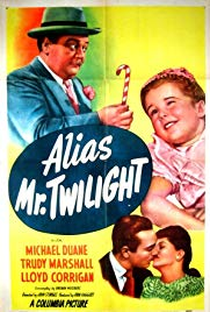 Alias Mr. Twilight - Poster / Capa / Cartaz - Oficial 1