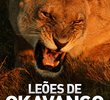 Leões de Okavango