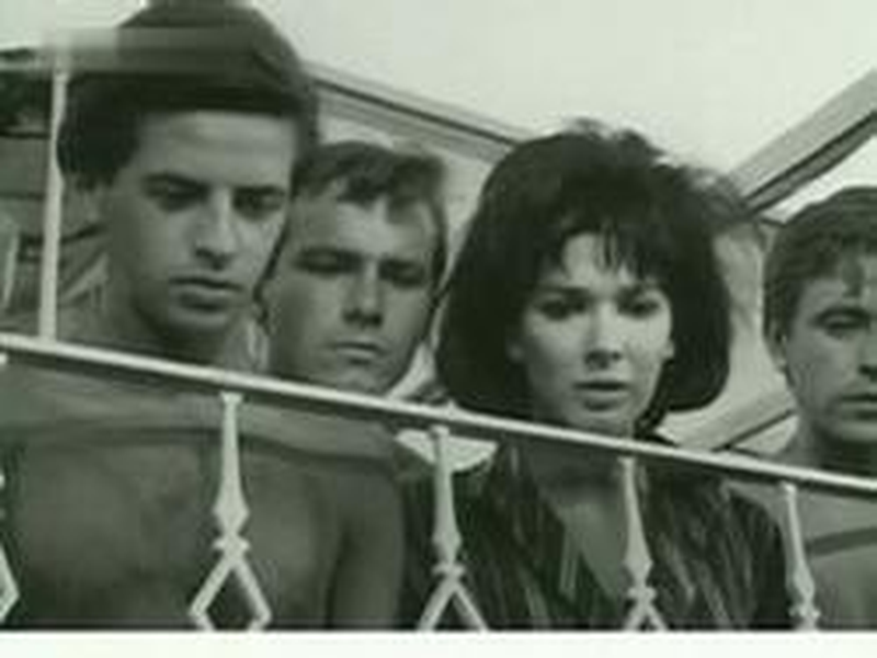 Foto 1 de O Terraço