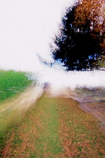 Brouillard #15 (Brouillard #15)