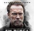 Em Busca de Vingança