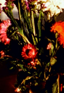 Time Being I – IV (Time Being I – IV)