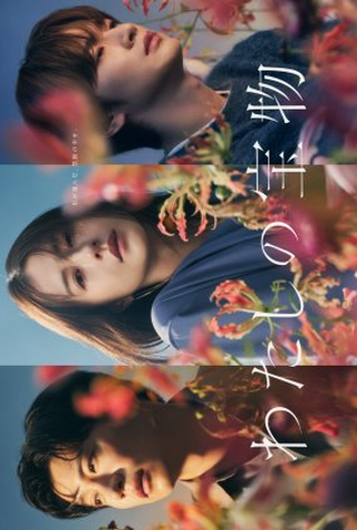 Poster 1 de Série Watashi no Takaramono (2024)