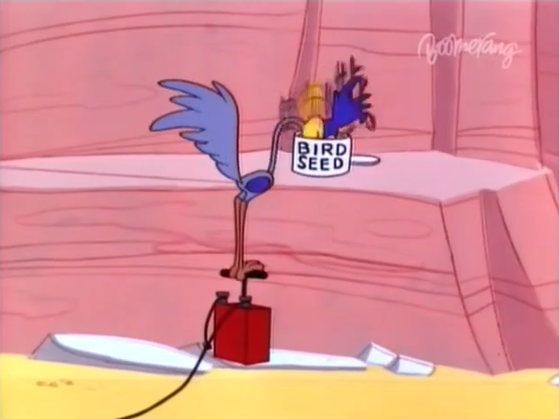 Foto 5 de Cansaço e Penas Soltas