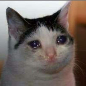 Foto de perfil de Luiza