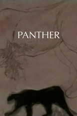 Panther (Panther)
