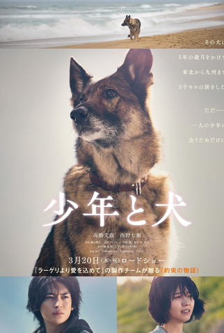 Poster 2 de Filme The Boy and The Dog (2025)