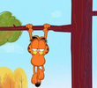 Chat perché