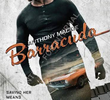 Barracuda