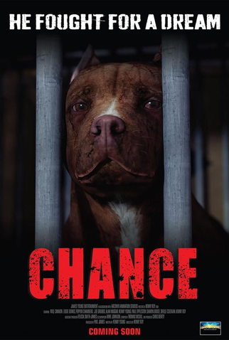 Poster 1 de Filme Chance (2017)